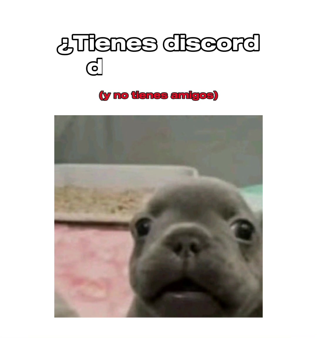 @UNETE A El Oxxo de Discord
