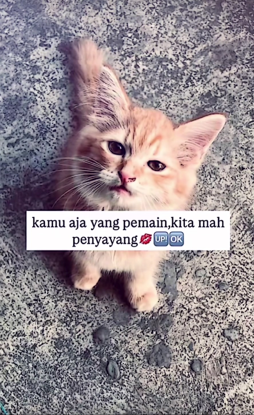 @pesona.mantap