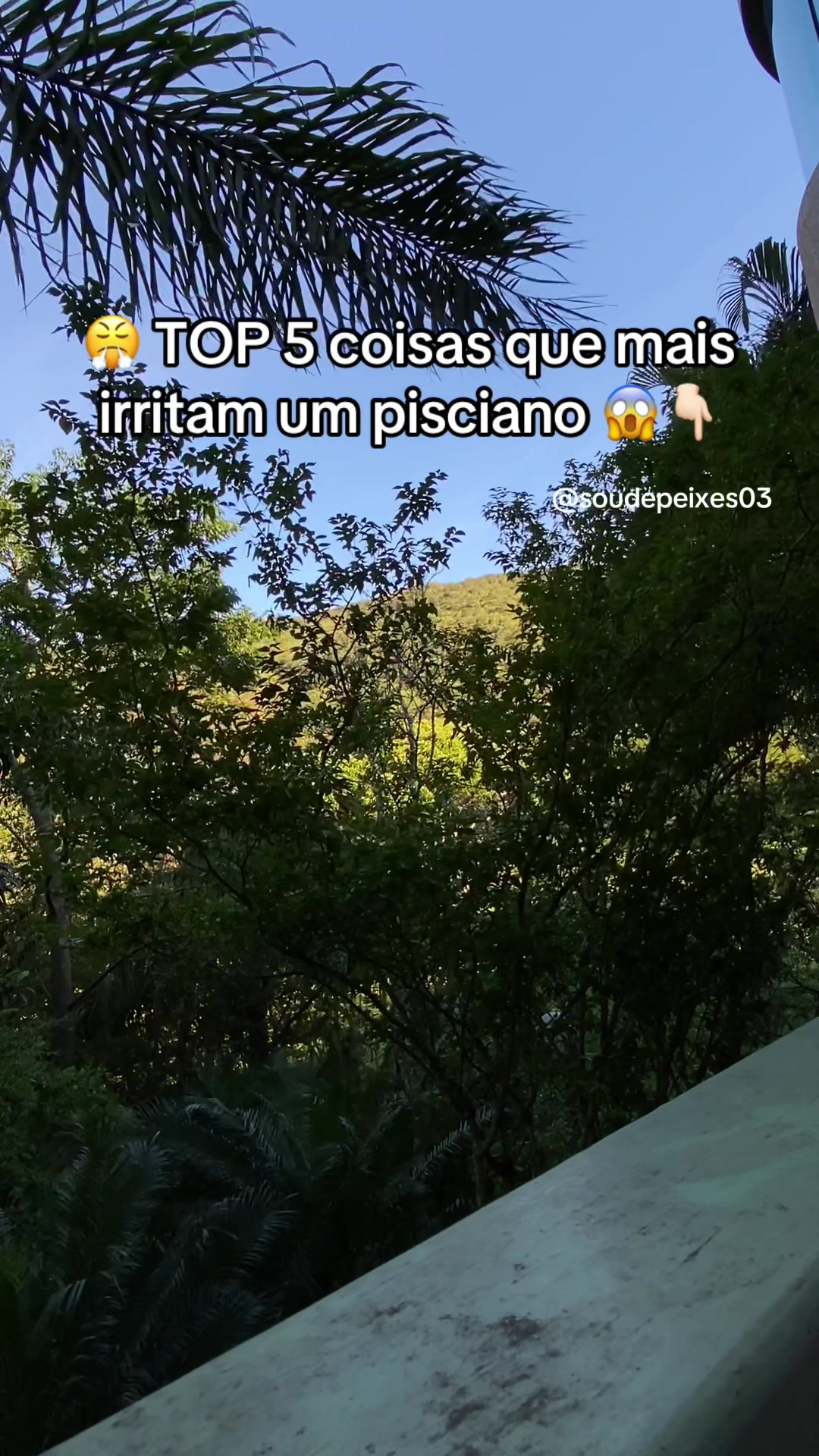 @soudepeixes