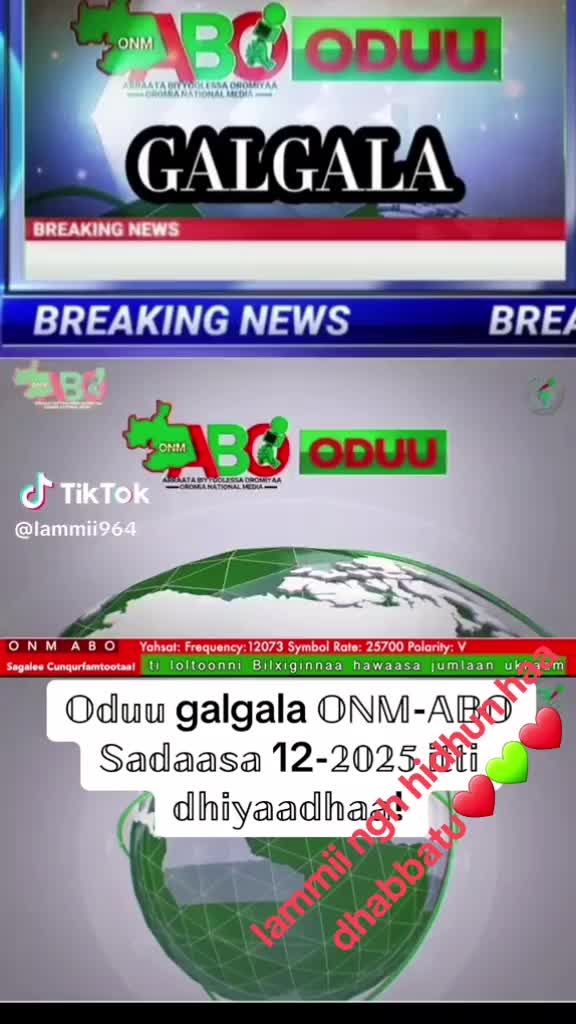 @Oliyad oro best 430 ❤💚❤