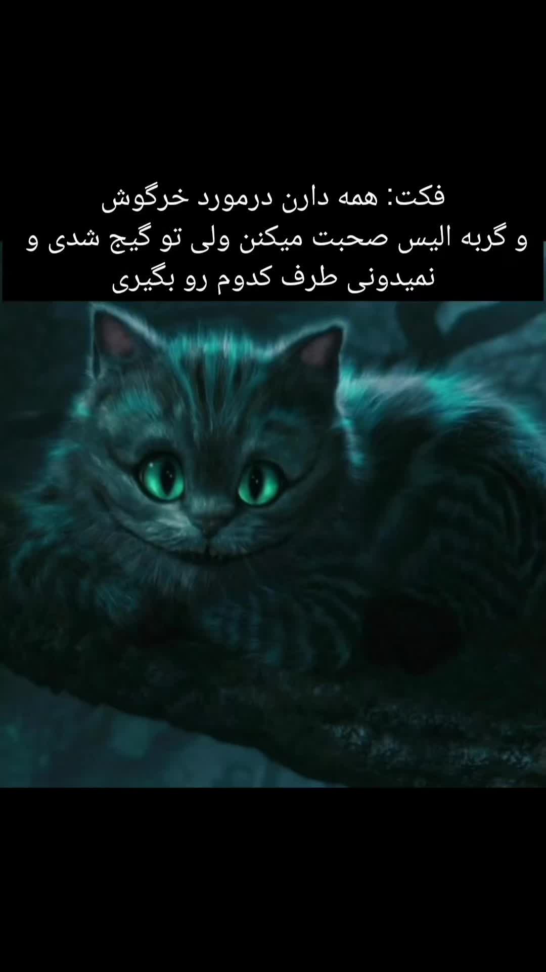 @elena