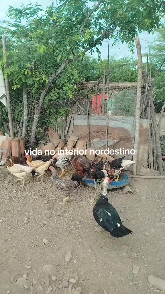 @F&aacute;tima Ferreira cosm&eacute;ticos