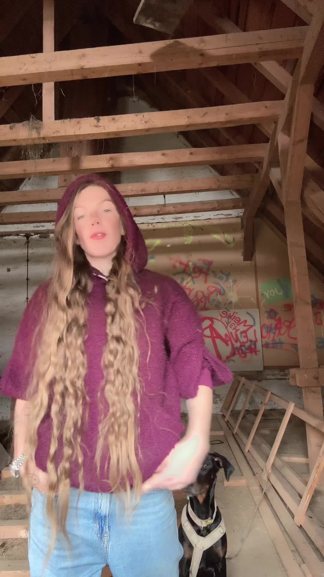@HafiHorse2