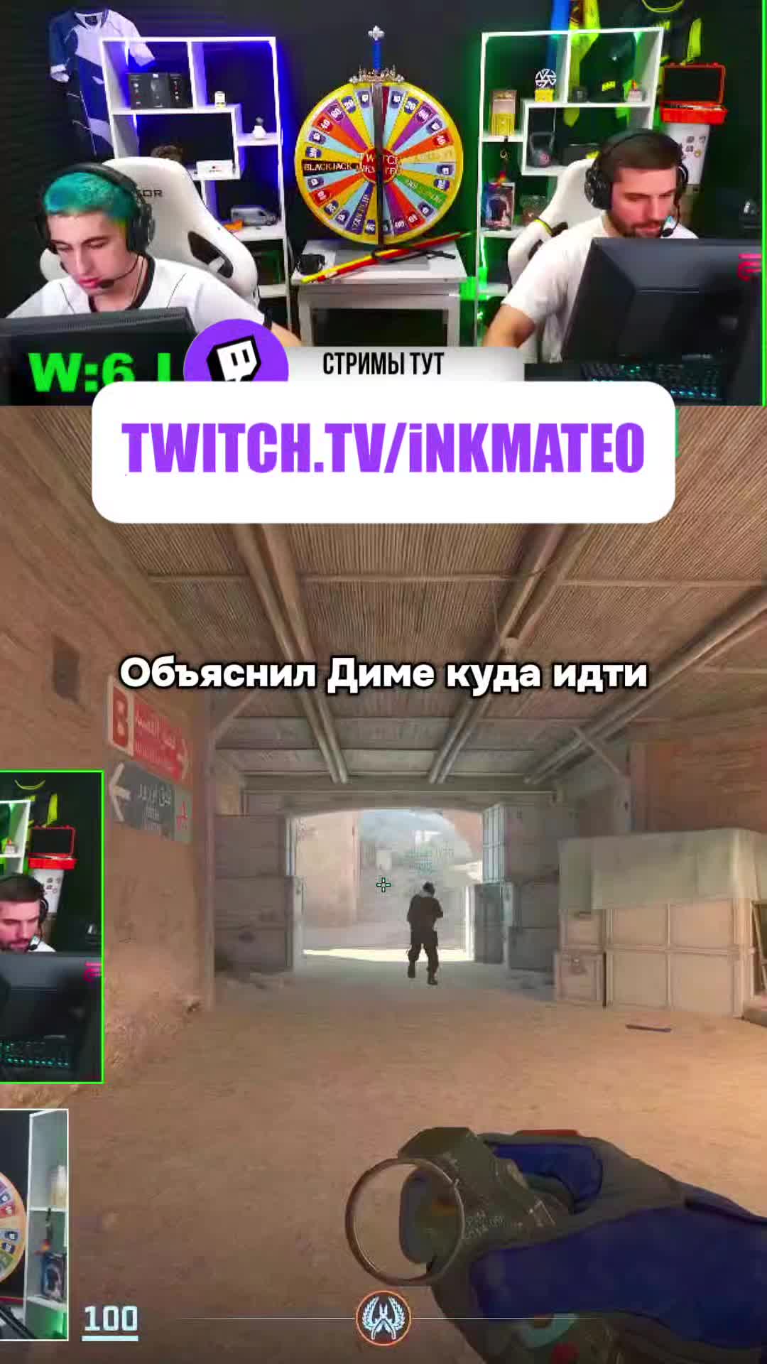 @инк зибертович