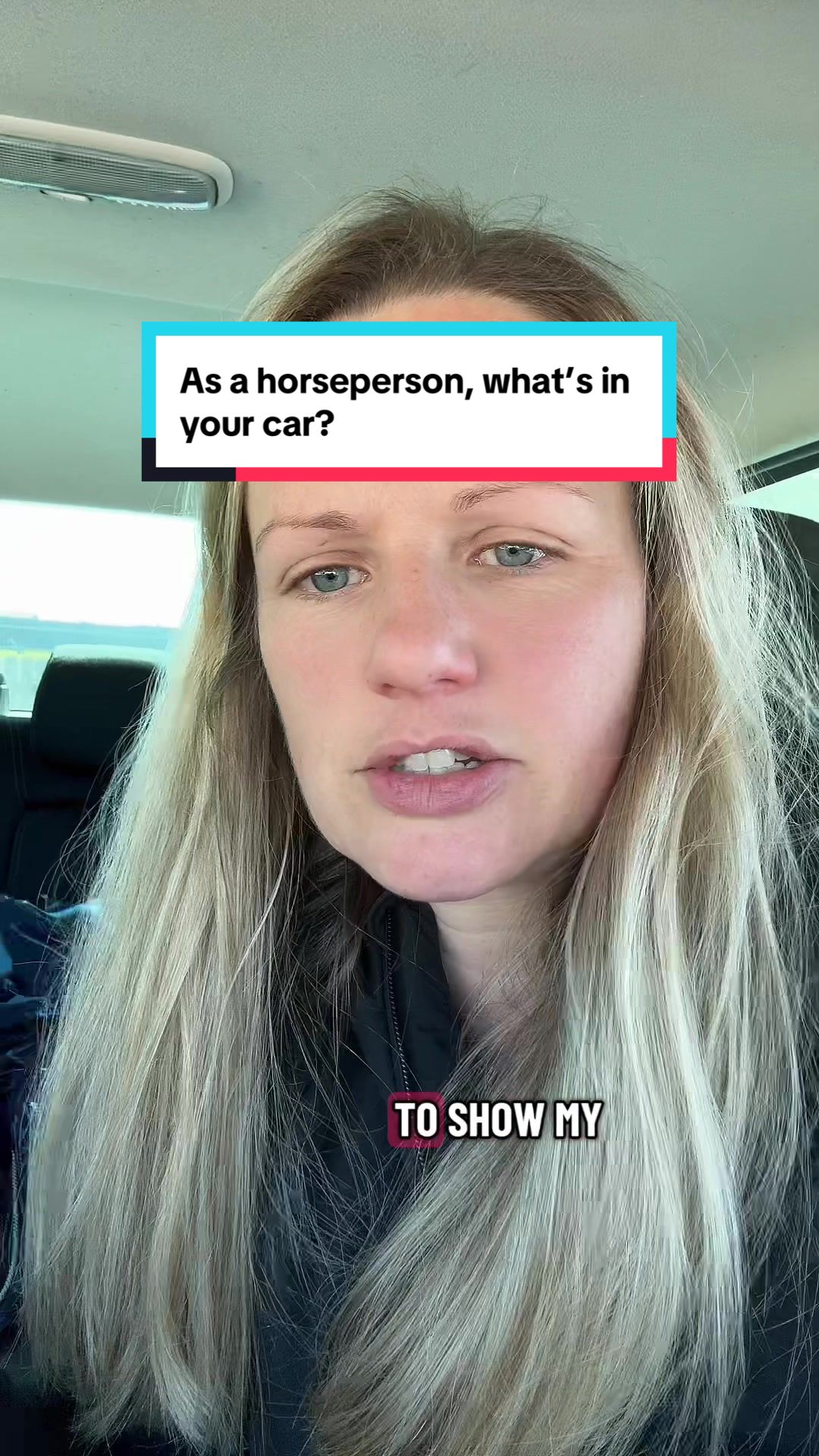 @Leader Equine