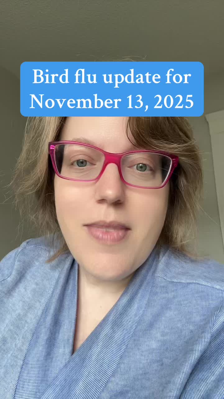 @Lizzietraveler