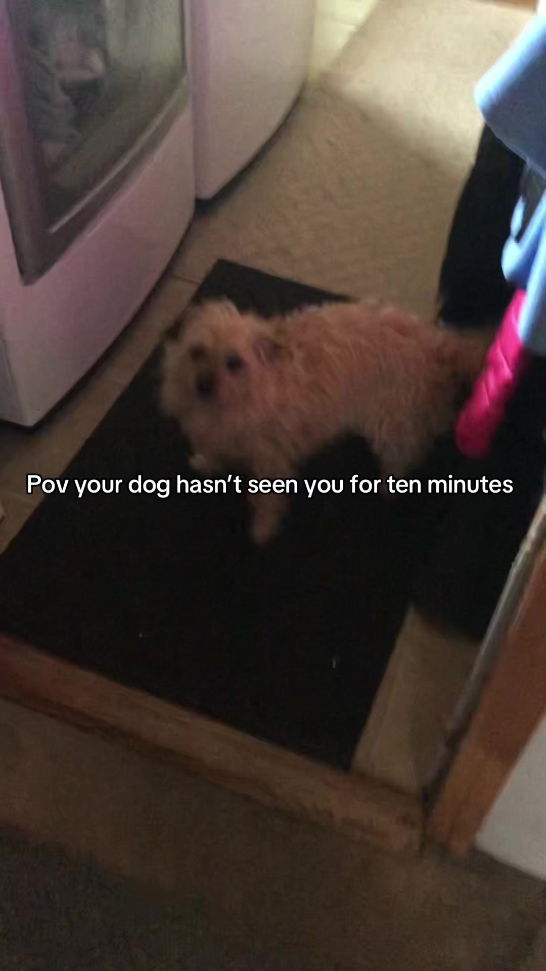 @Dottie
