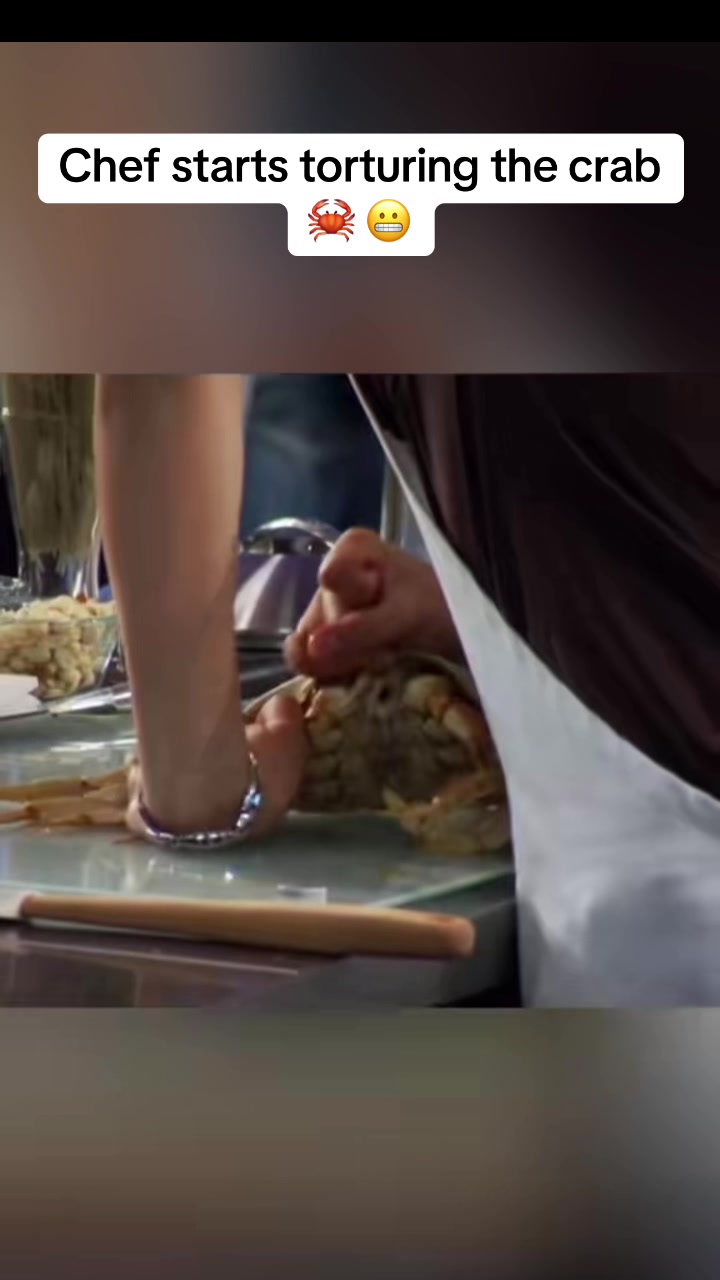 @Gordon Ramsay Clips