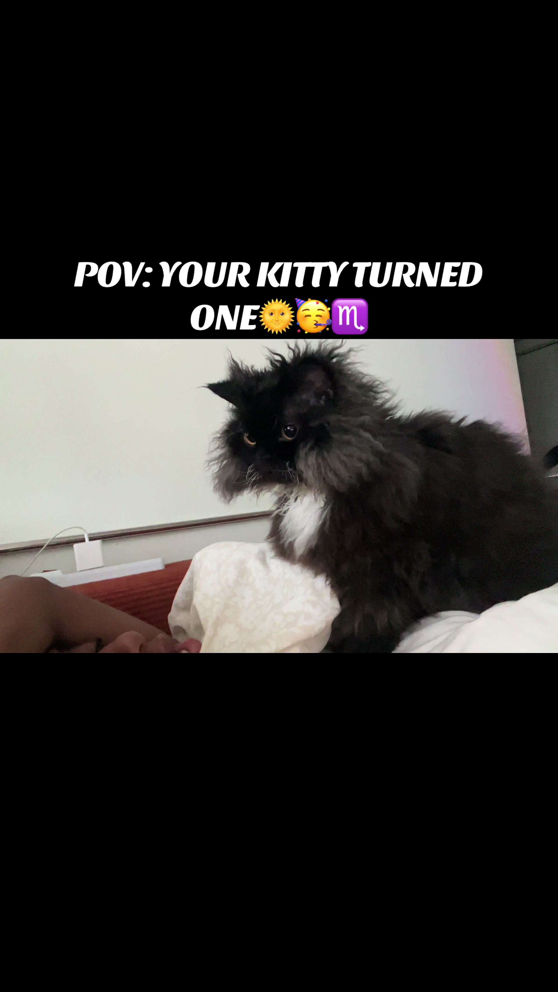 @Emprys$🕴️