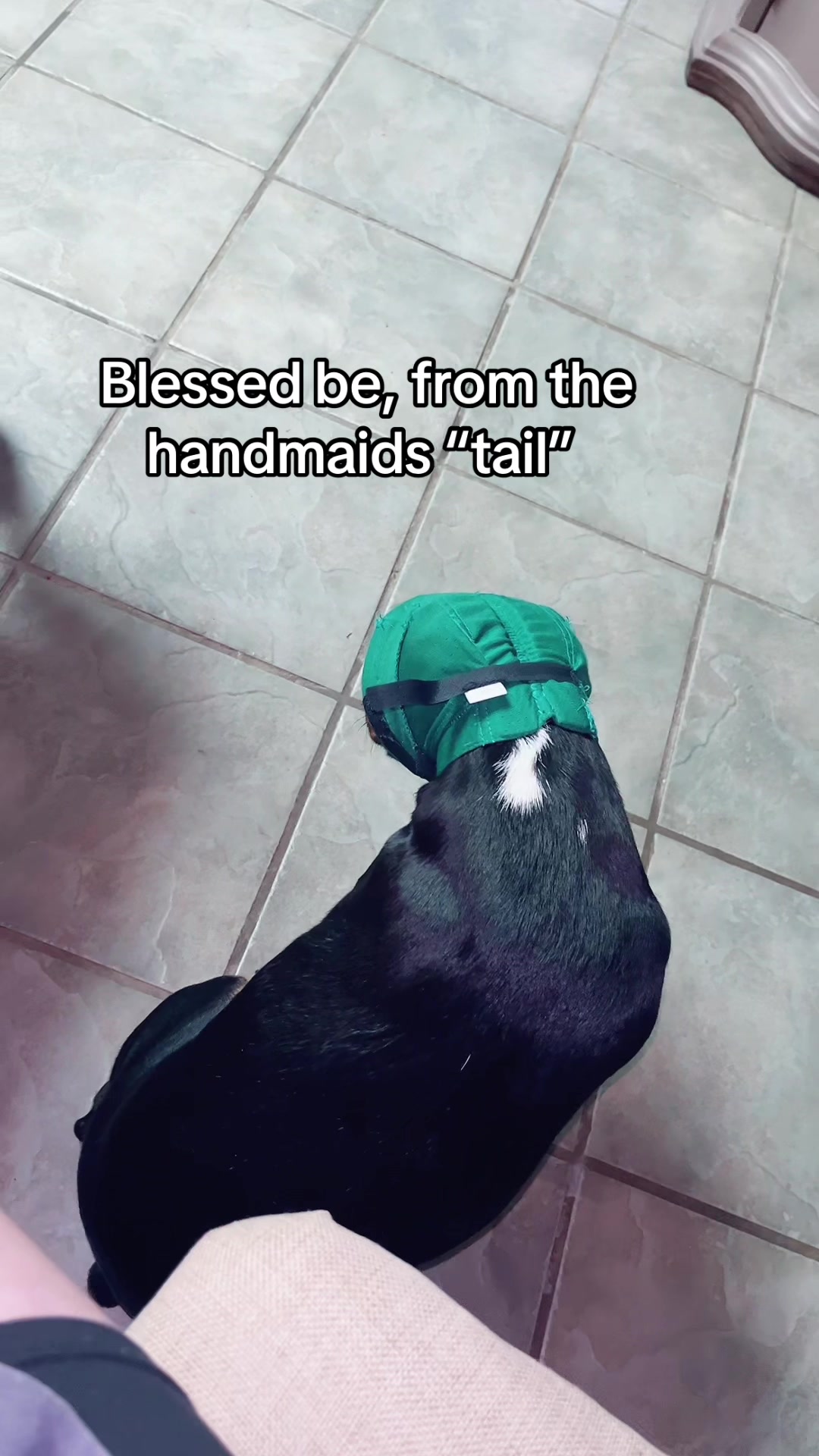 @Harry I took care of it 🦜