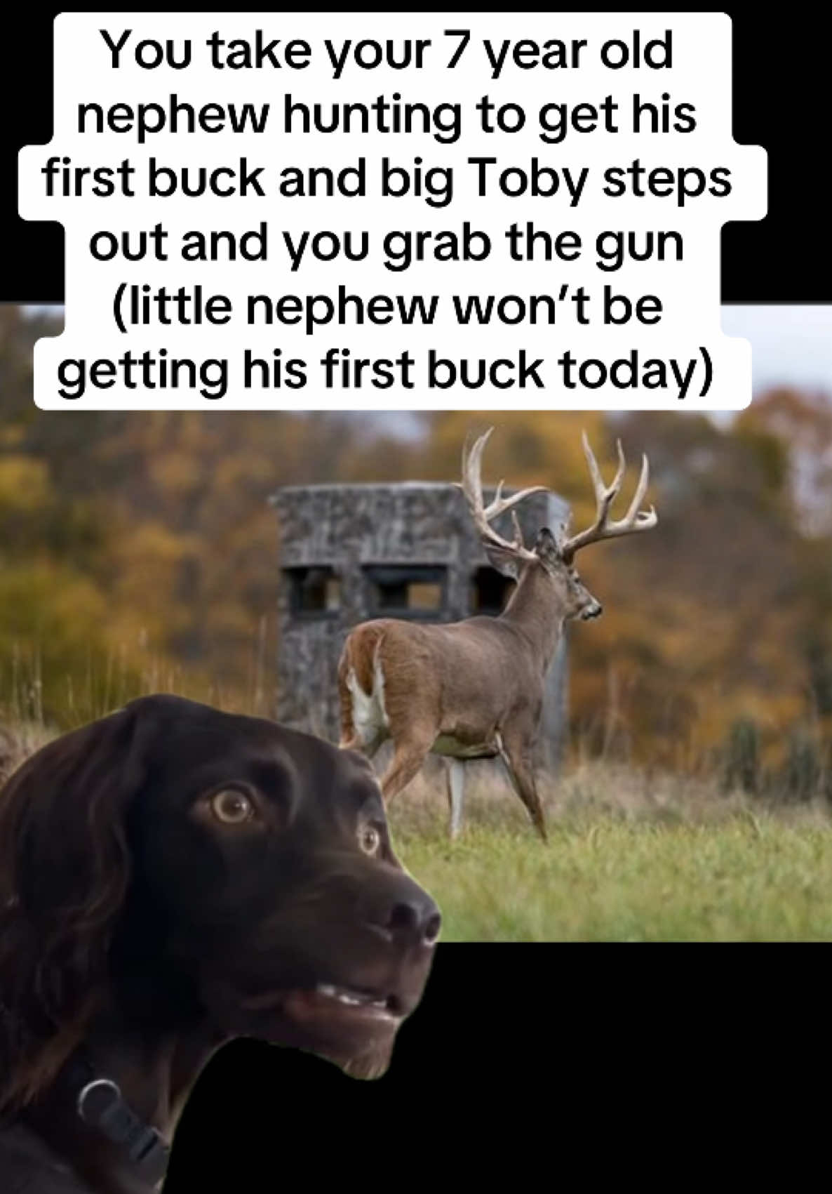 @TPHH