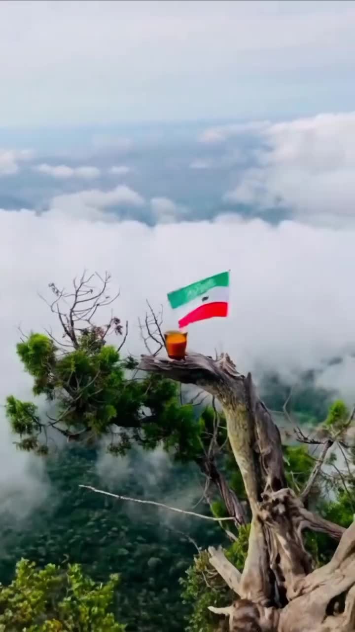 @Mohammed ilaak