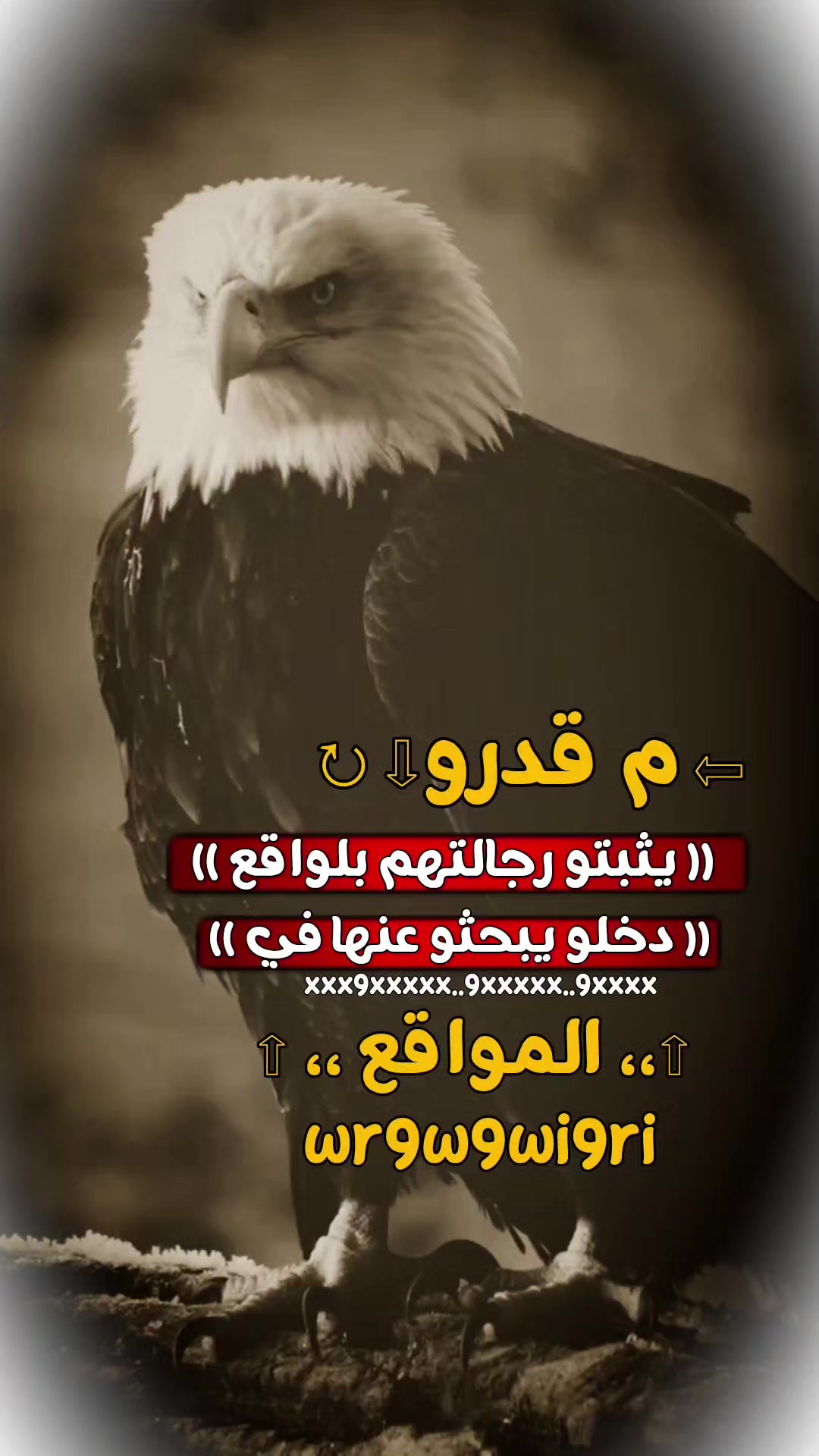 @&trade;المـᬽـلٰڪ🇾🇪⃞ᯓ✰اليمـᬽـانيᯓ