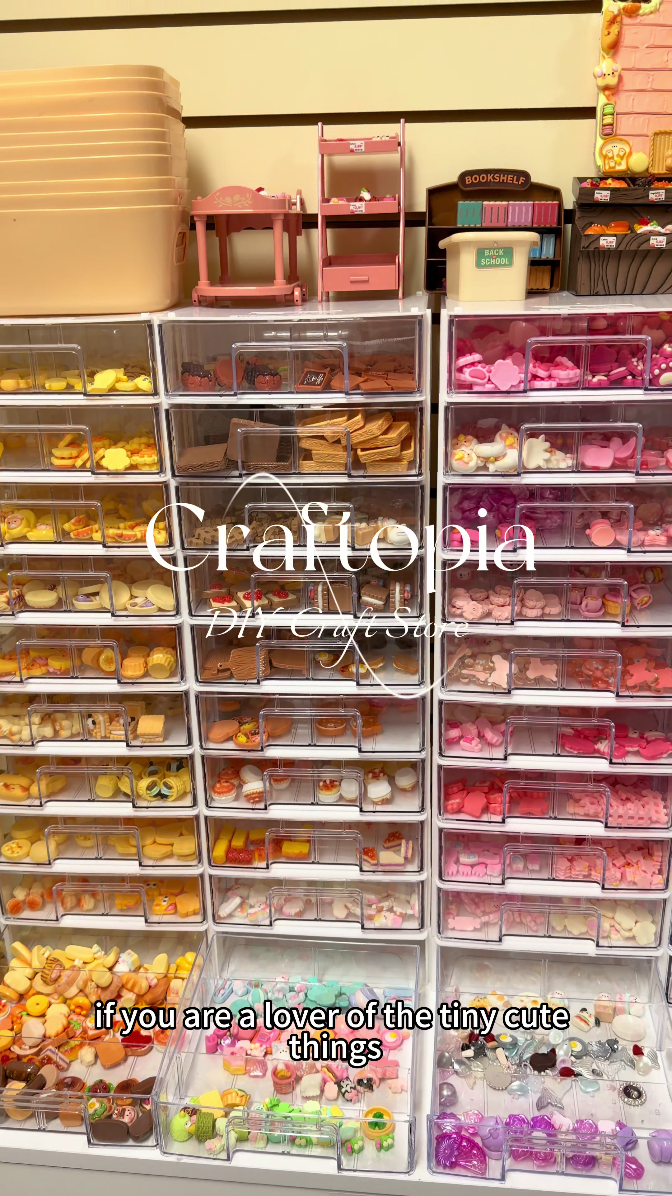 @craftopia_mn