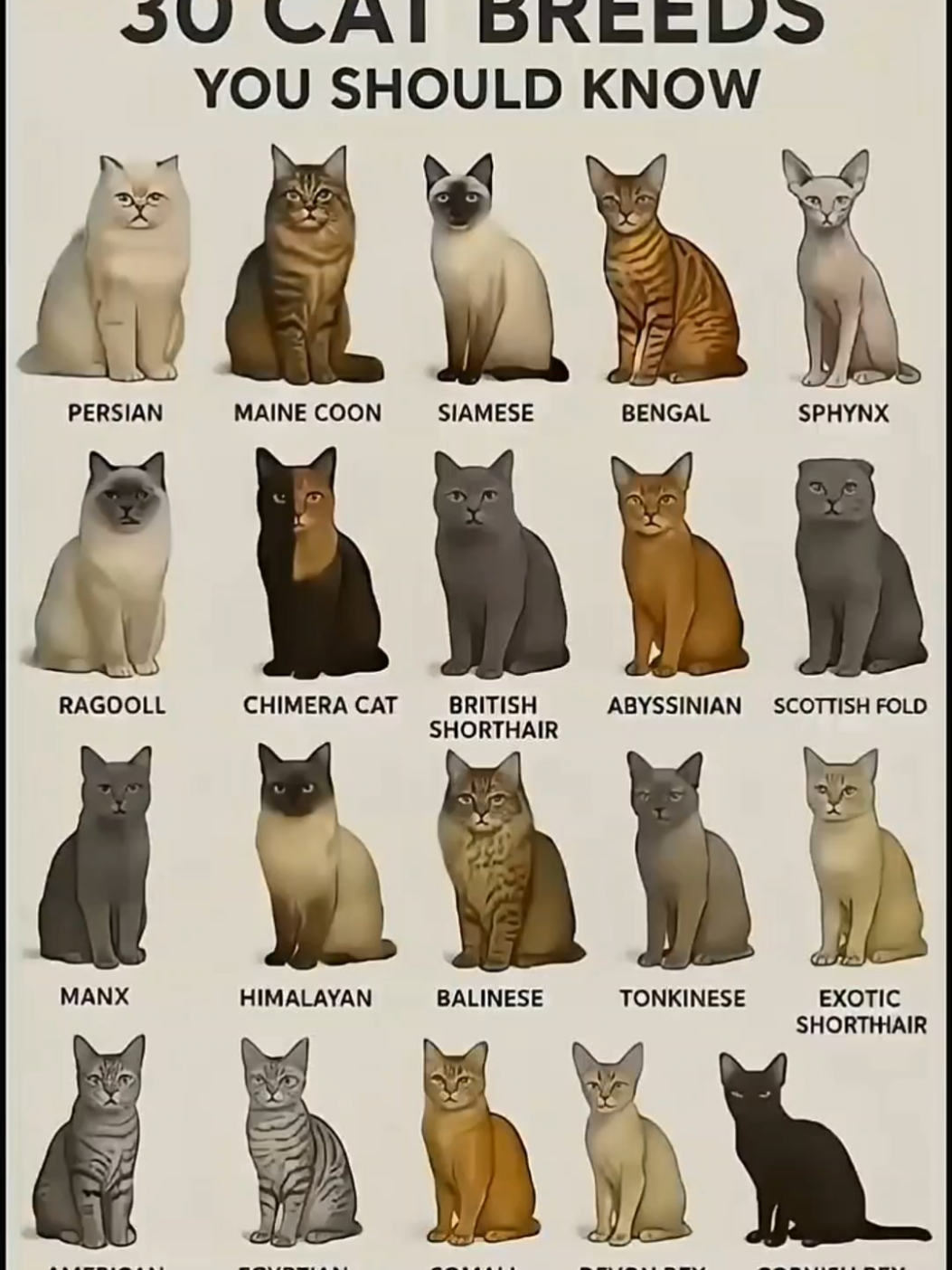 @𝐅𝐫𝐢𝐞𝐧𝐝𝐬 _𝐋𝐨𝐯𝐞𝐫_𝟗?