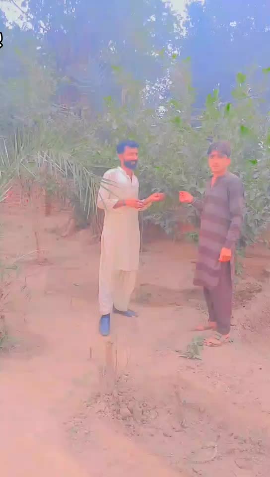 @Malikjaveed