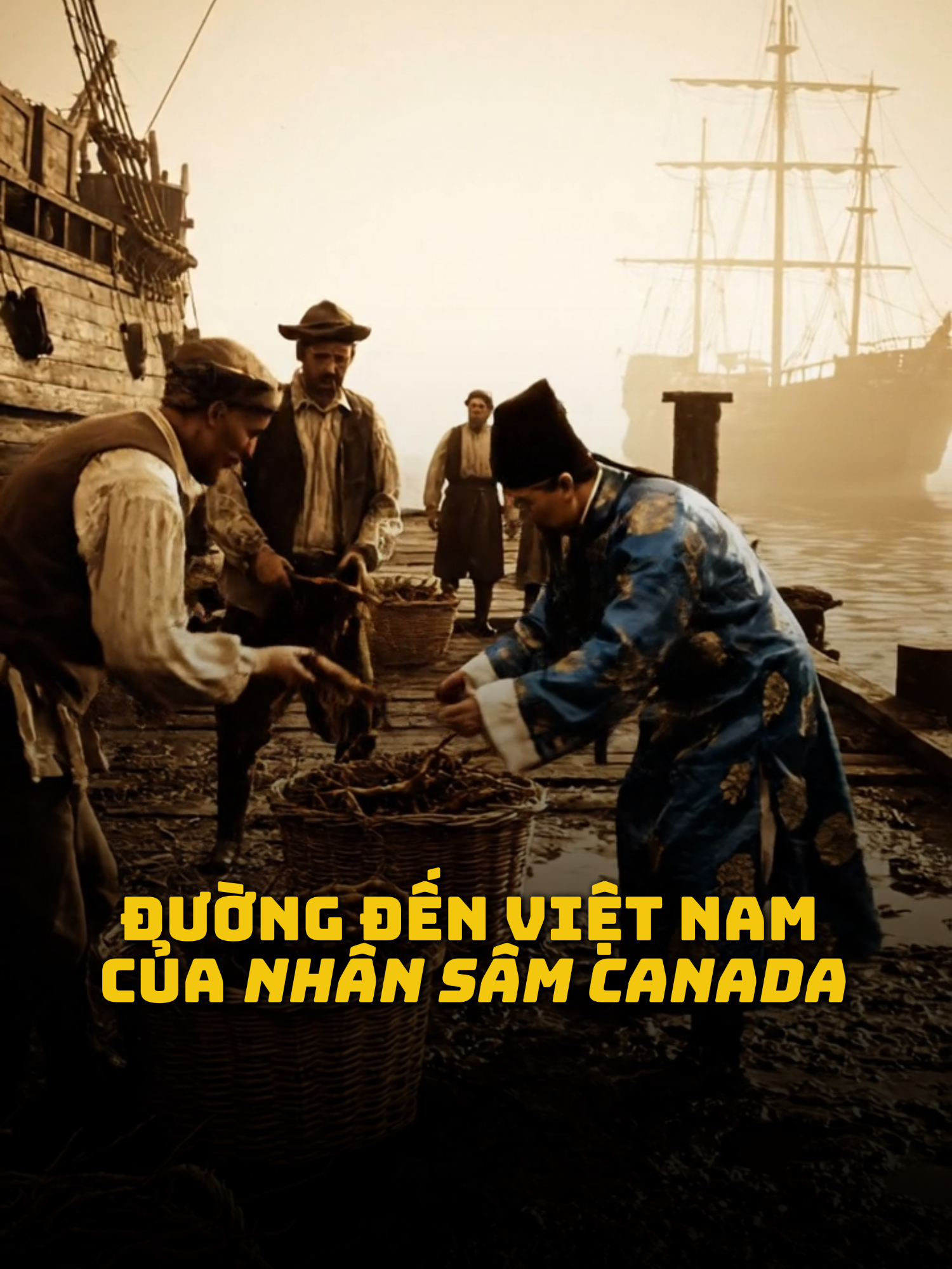 @CND GINSENG Vietnam