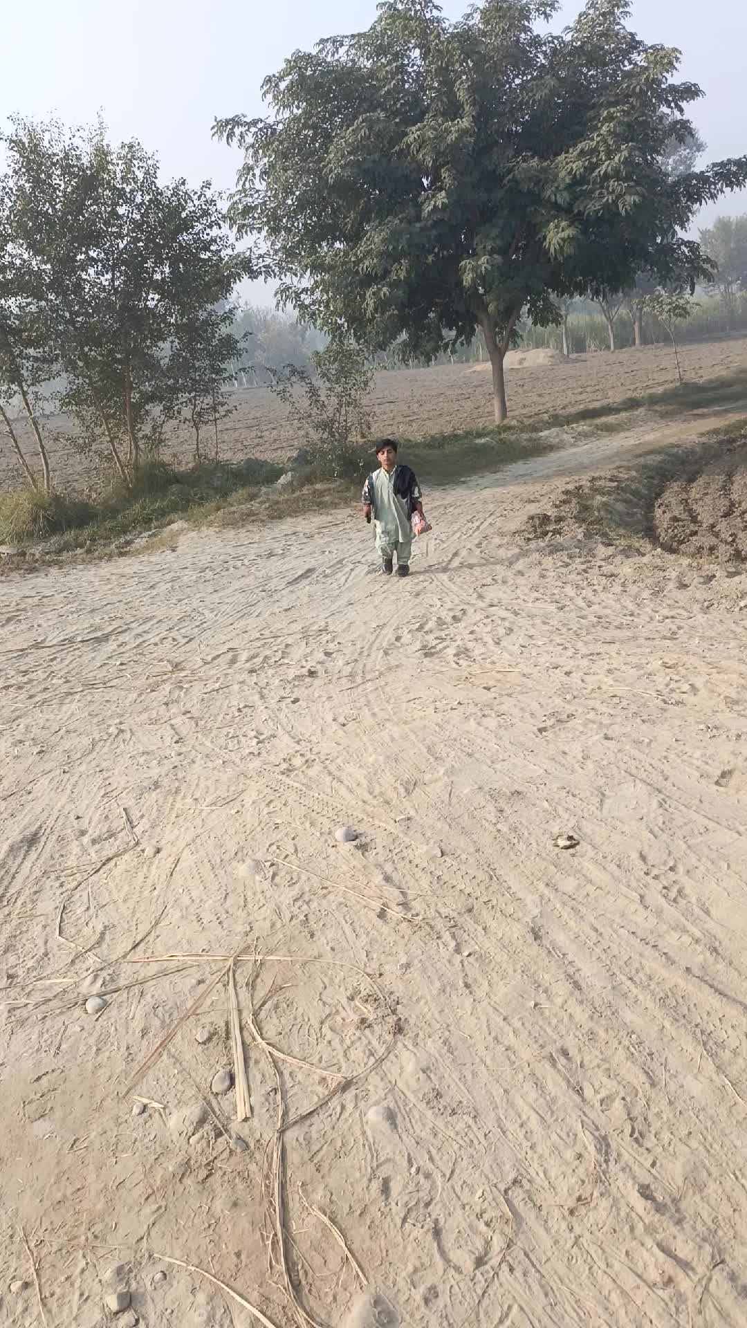 @گُڈو بادشاہ