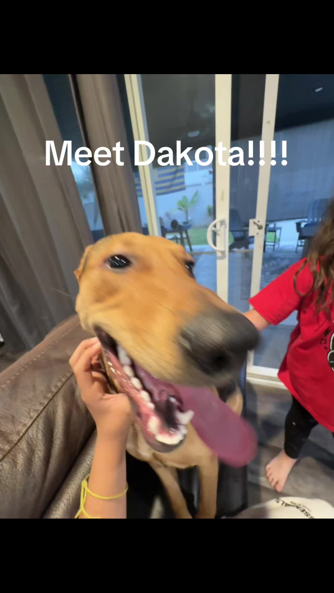 @FosteringPawz