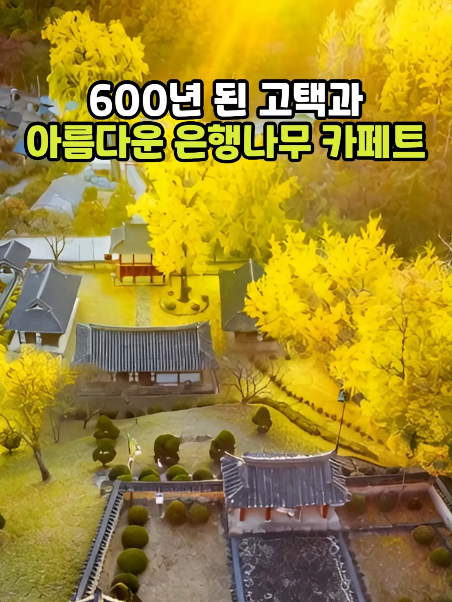 @꽃노리