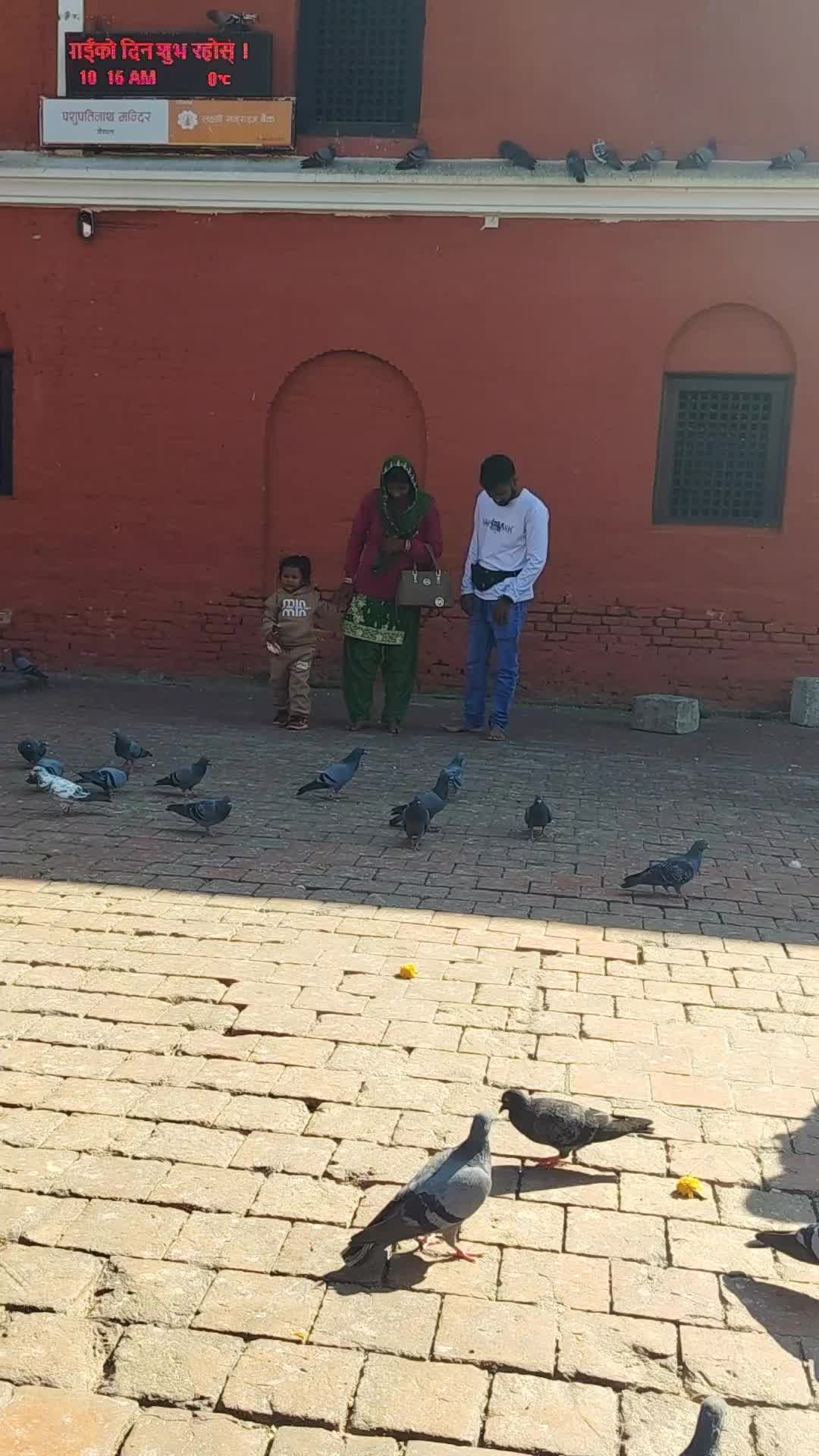 @siddarthsah