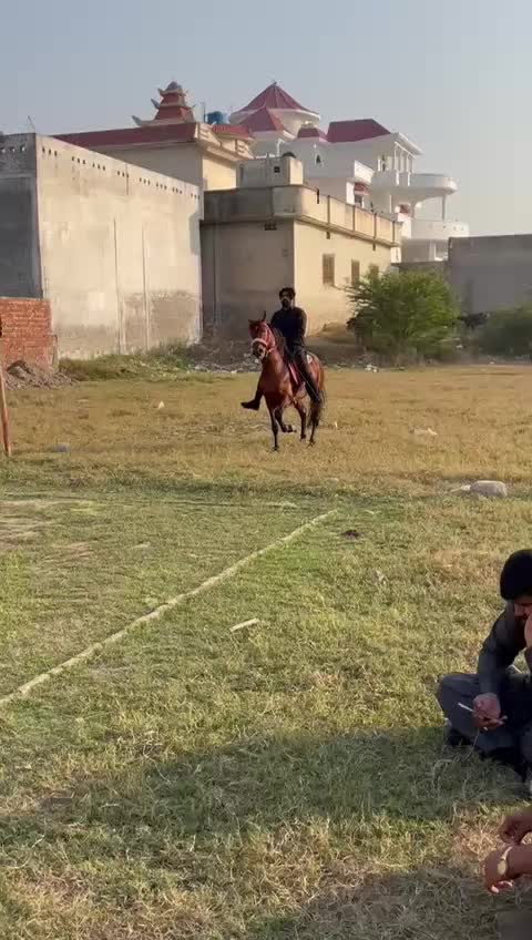 @wariach86