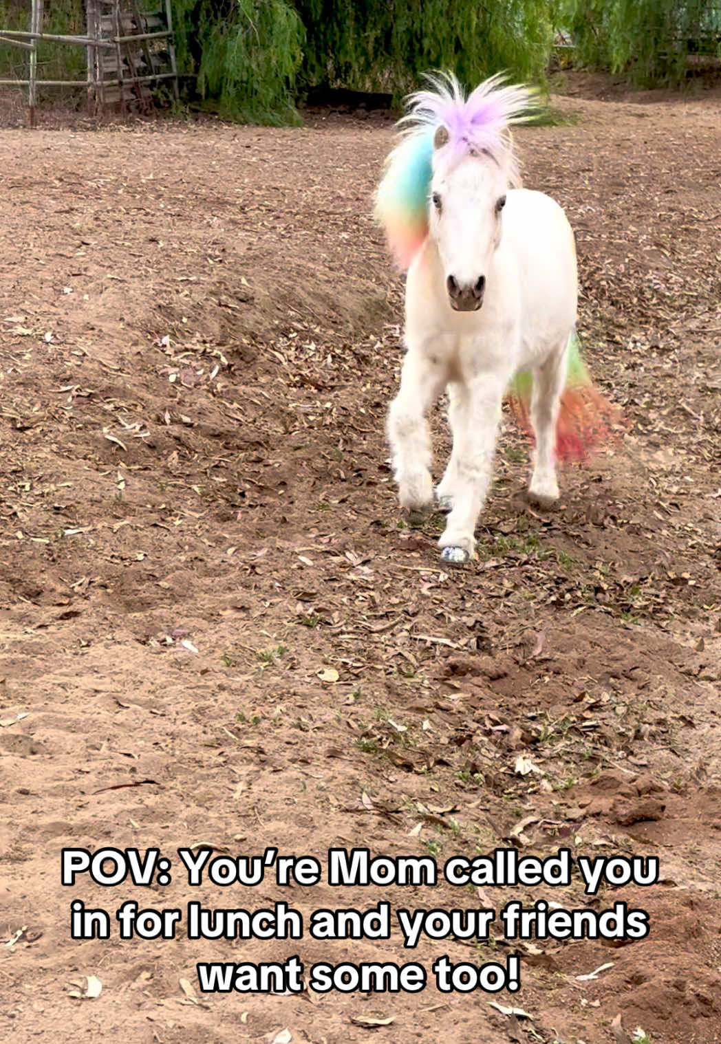@The Posh Unicorn