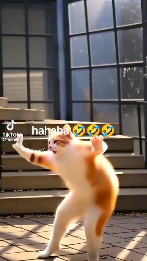@fr&oacute;zenheart143