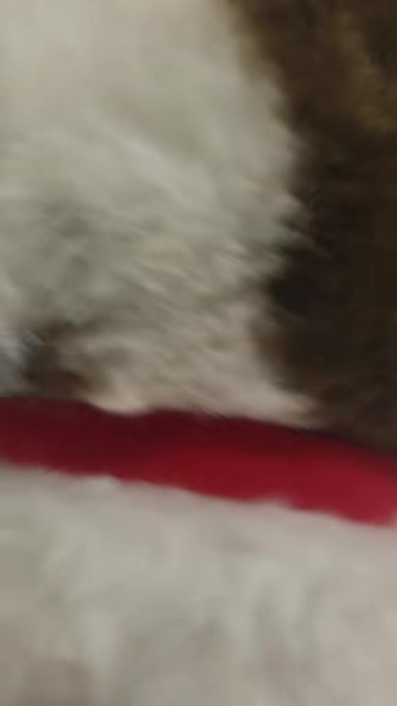 @juanfigueroa2771