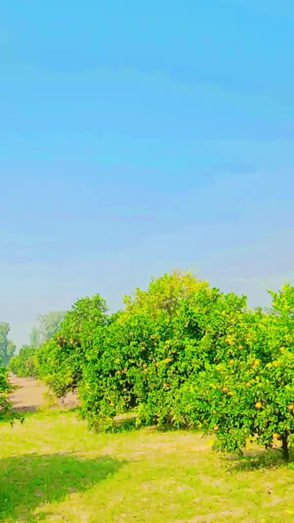 @Masoom Ladki