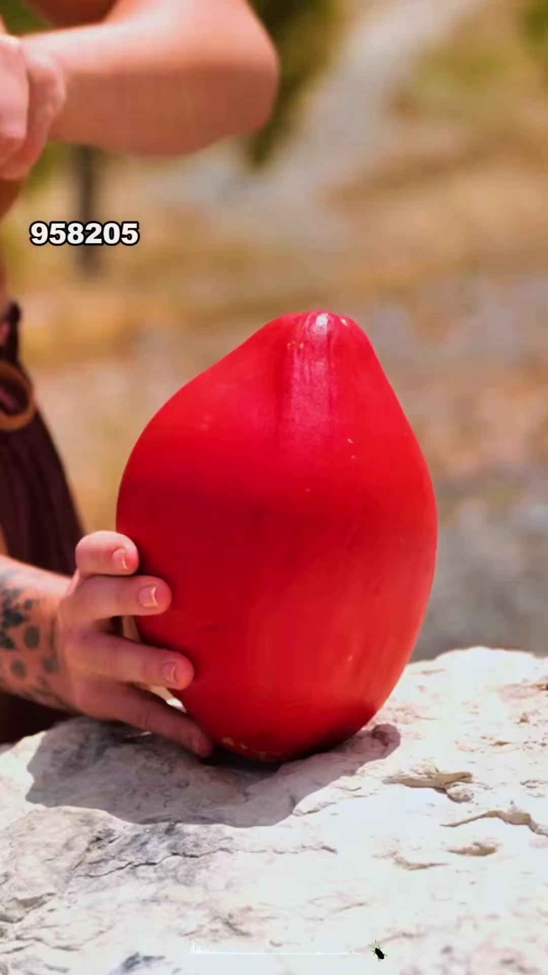 @palmesbzqrj