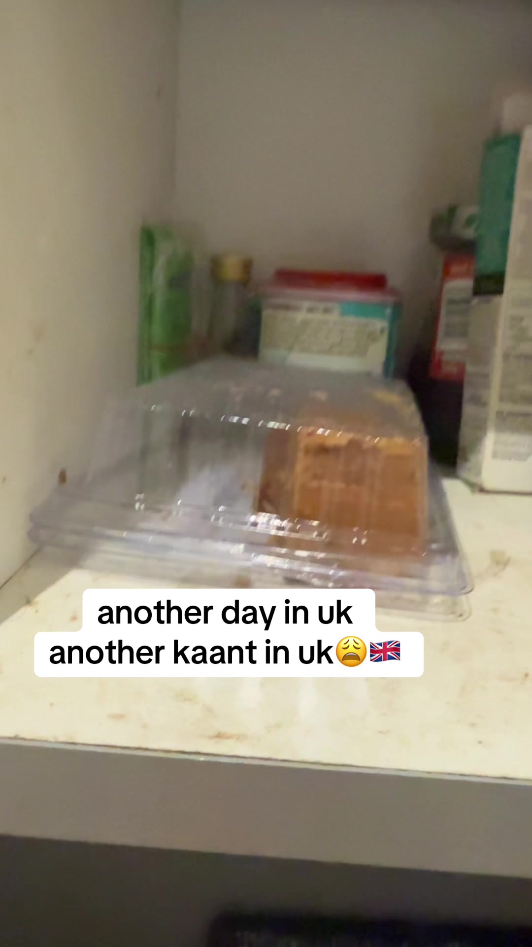 @uk.k.life