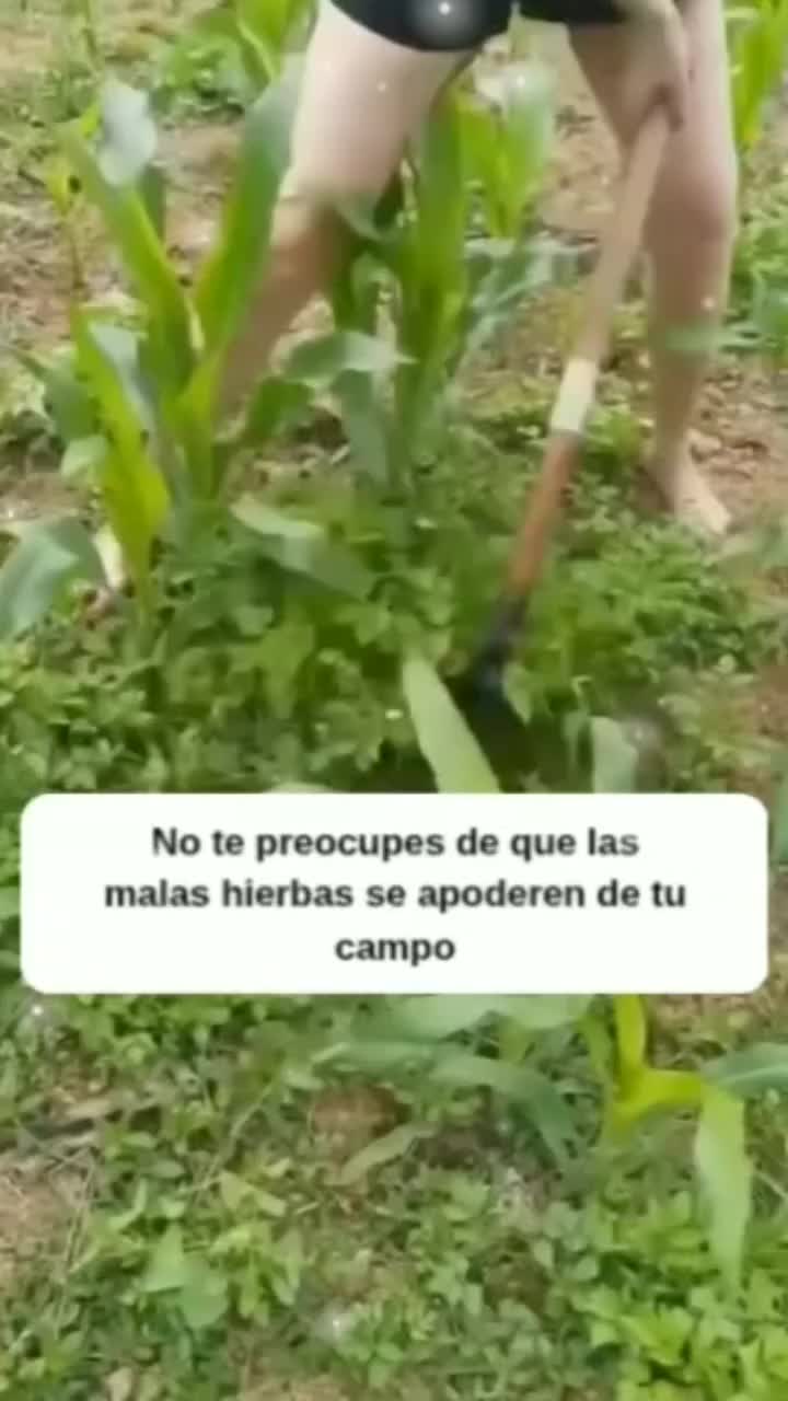 @MIJARDIN