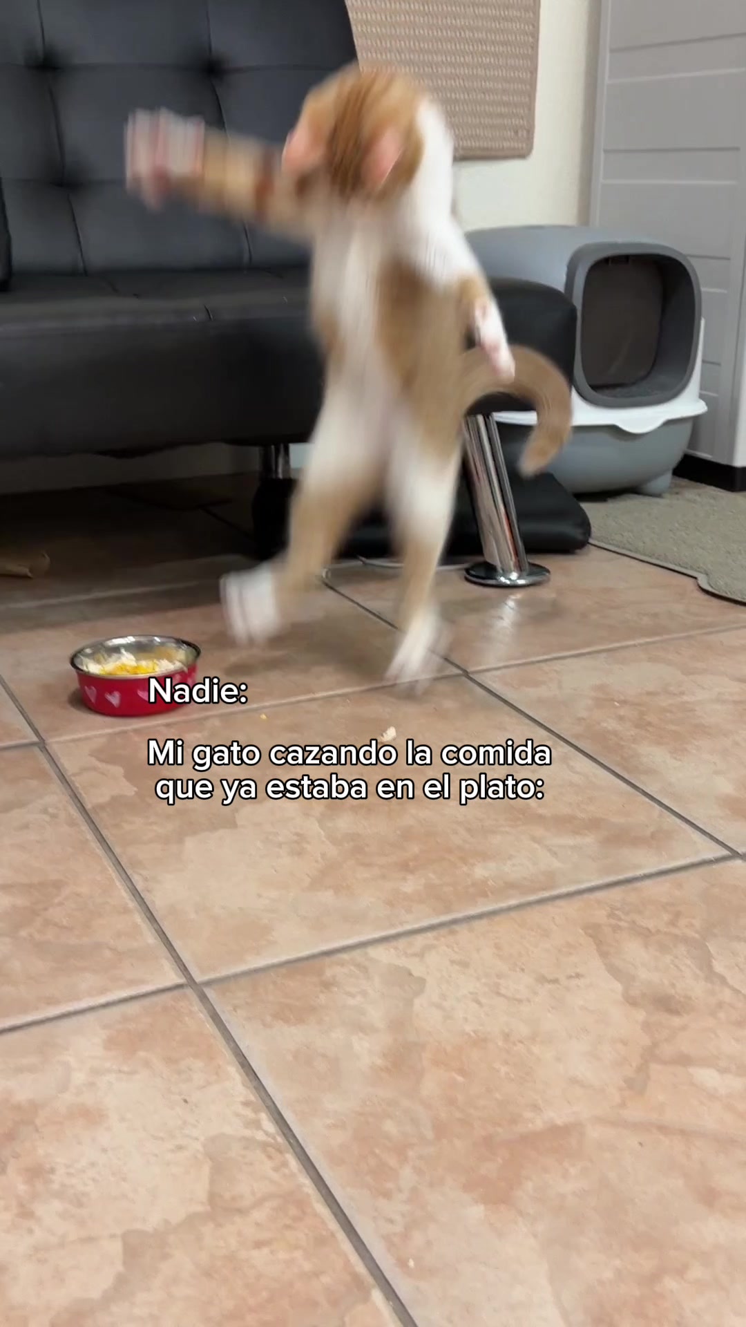 @nacho & theo
