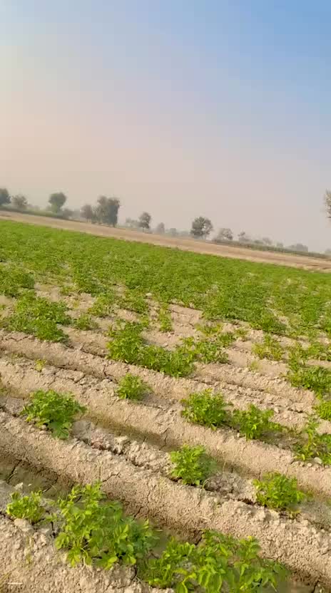 @Nawab Ahmad Baloch
