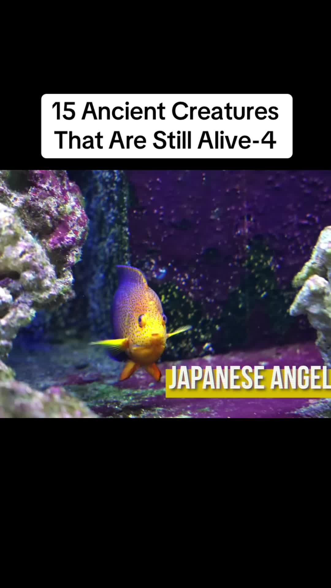 @user2229180201810
