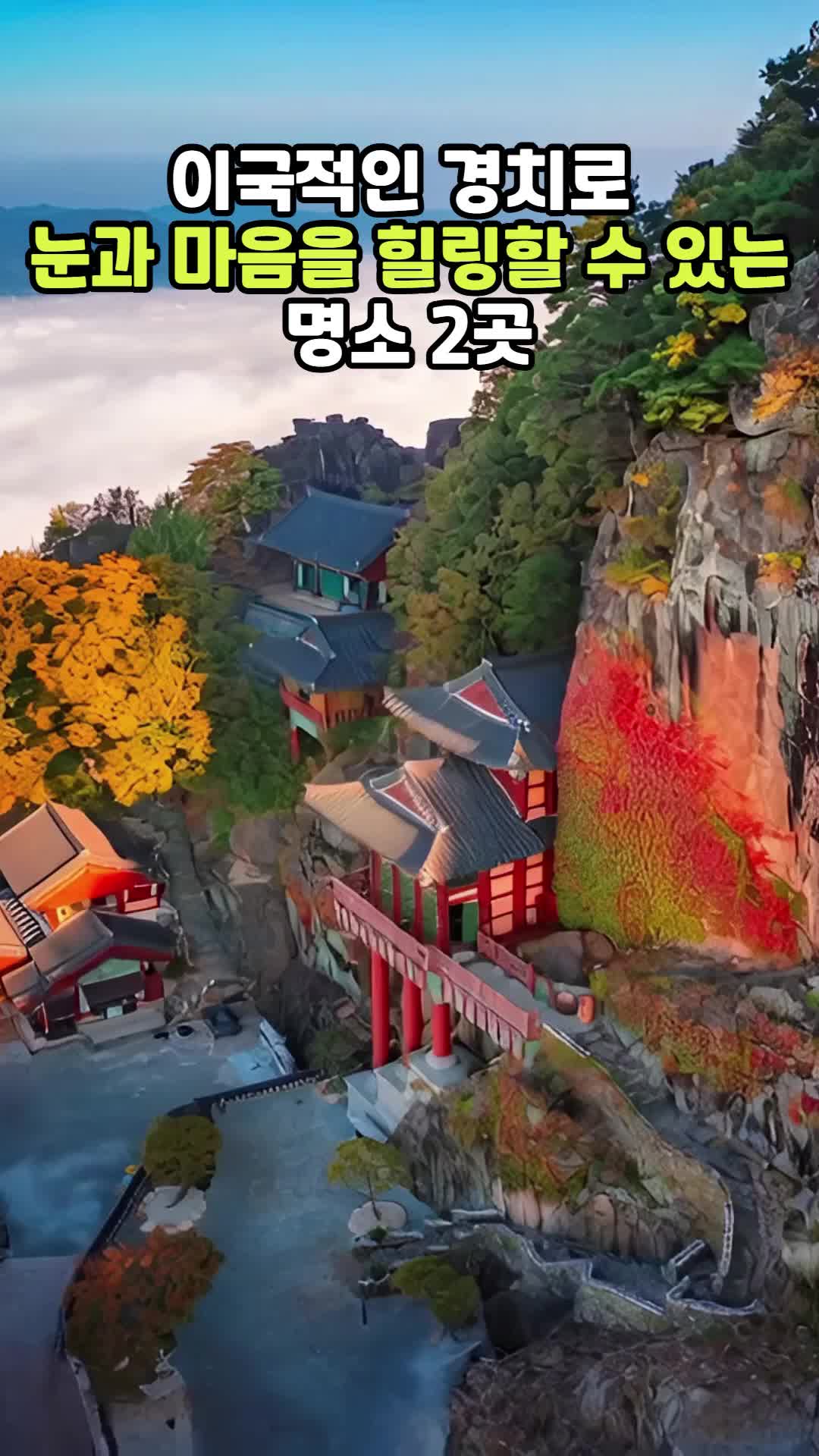 @꽃노리