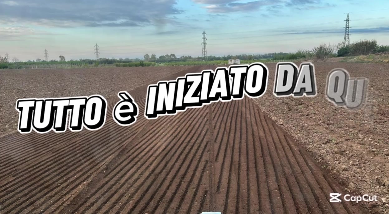 @micione