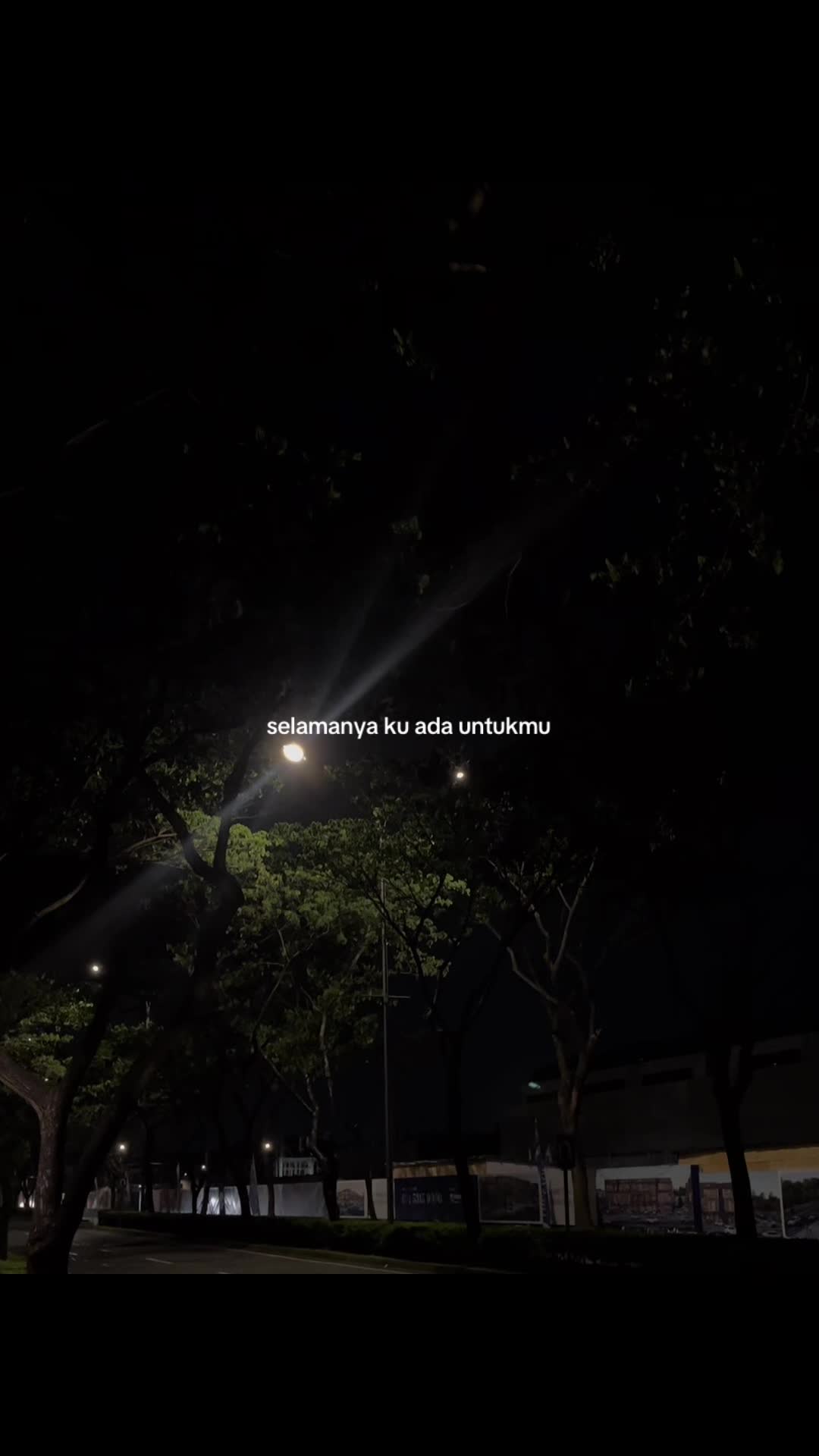 @lonelynes🥀