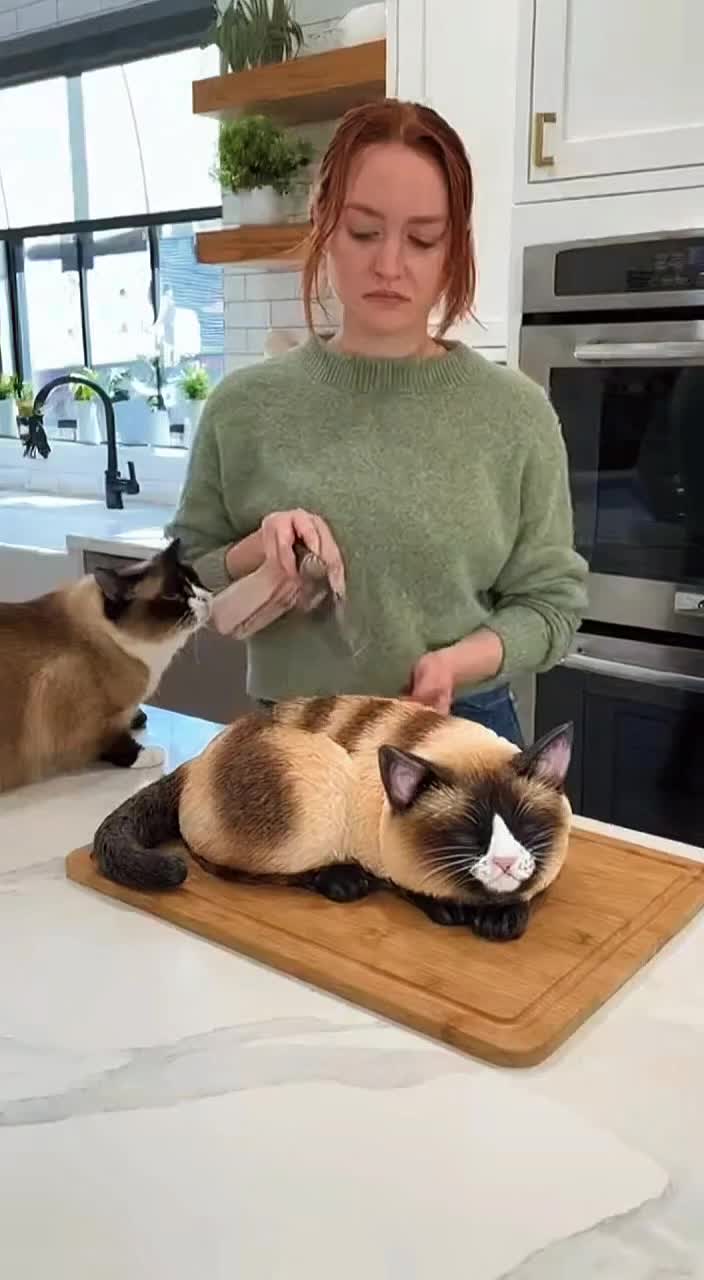 @Purrfect Moments