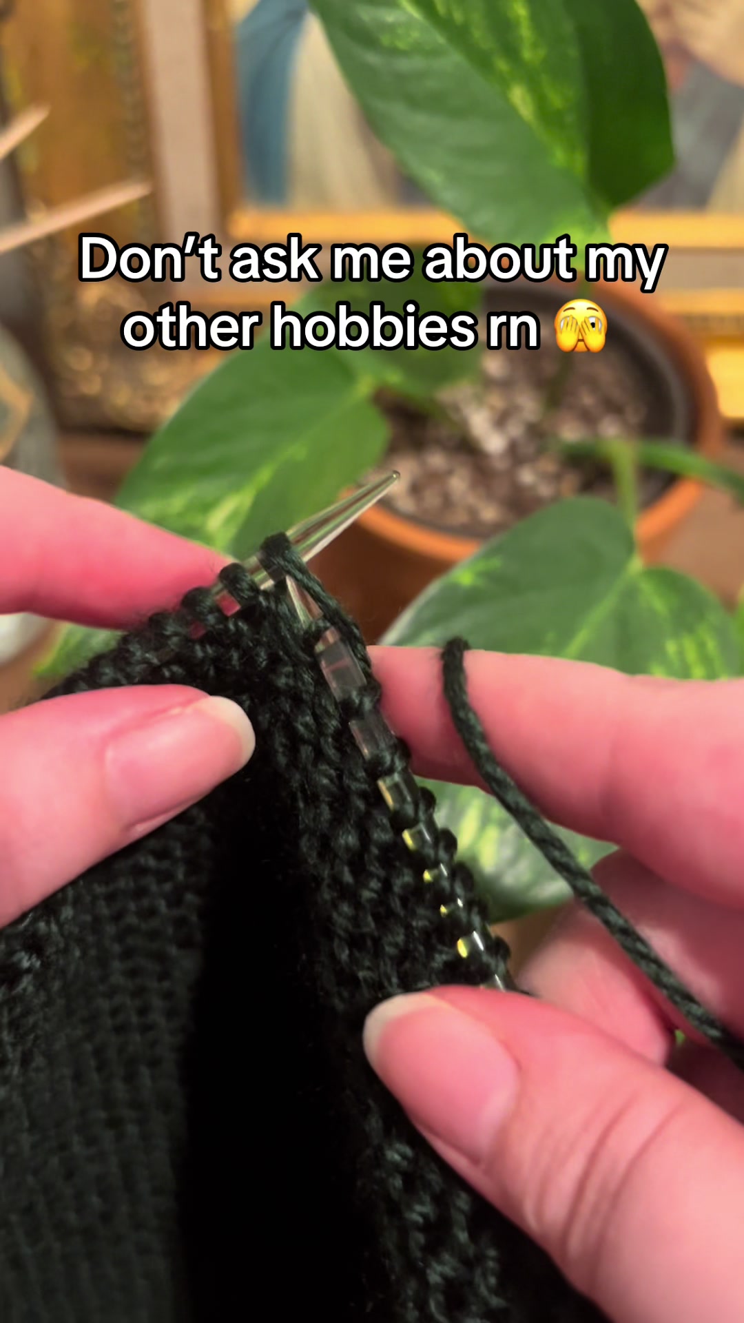 @HobbyHopper