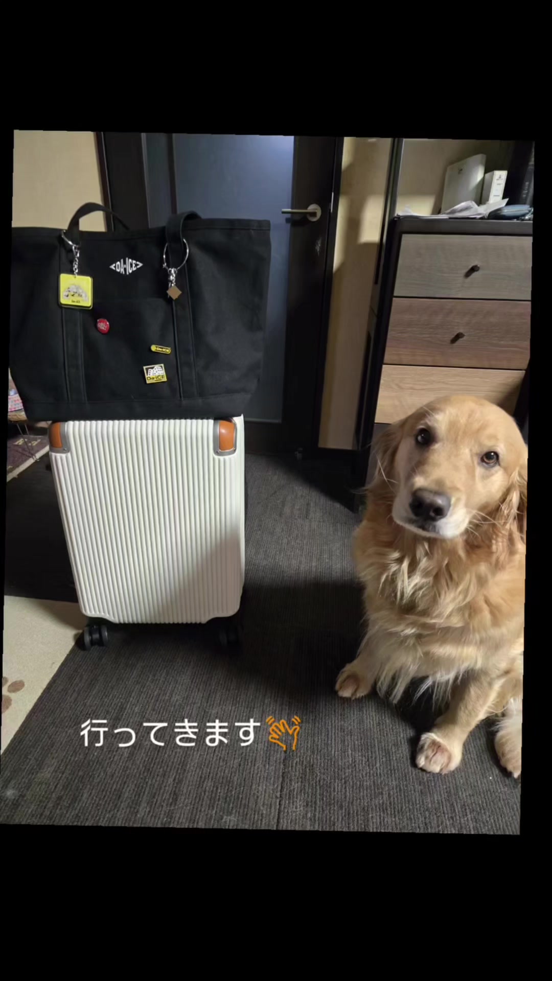 @ナナルナ
