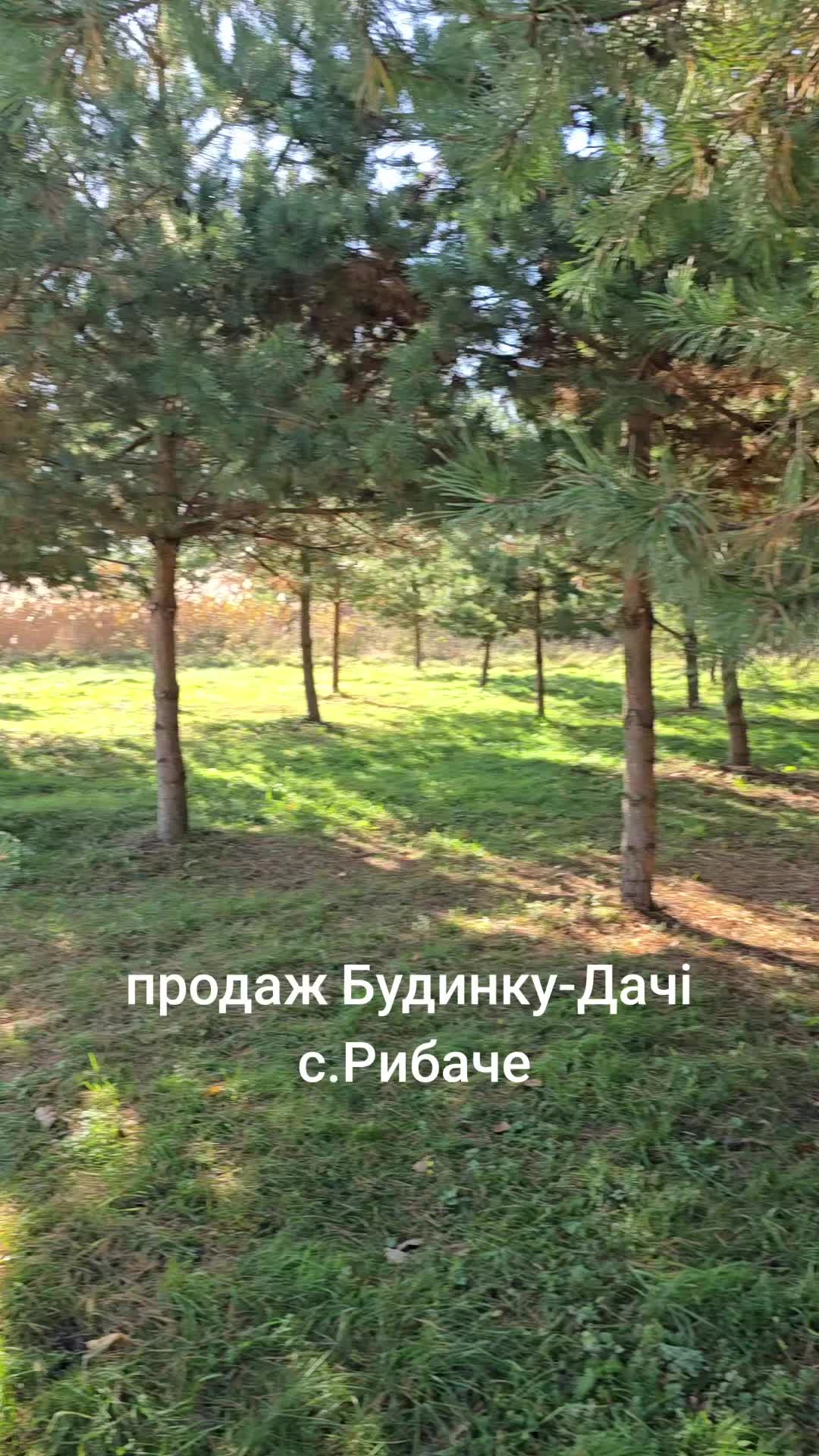 @Маргарита