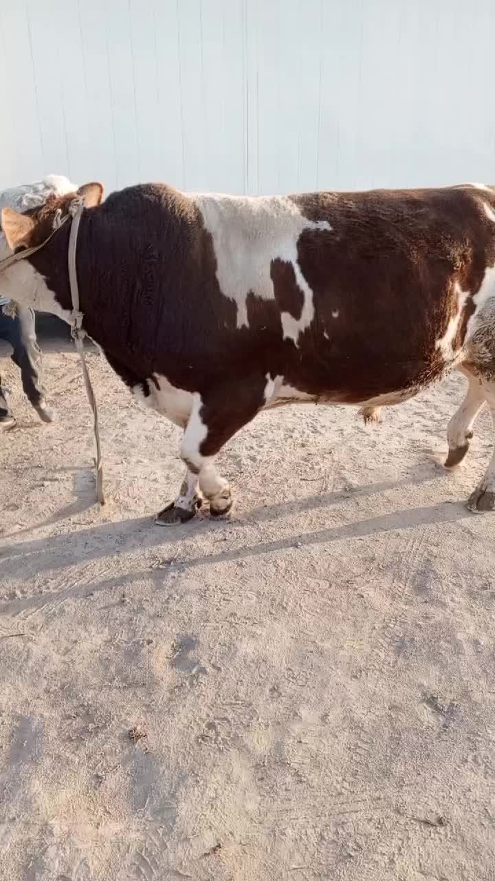 @telav