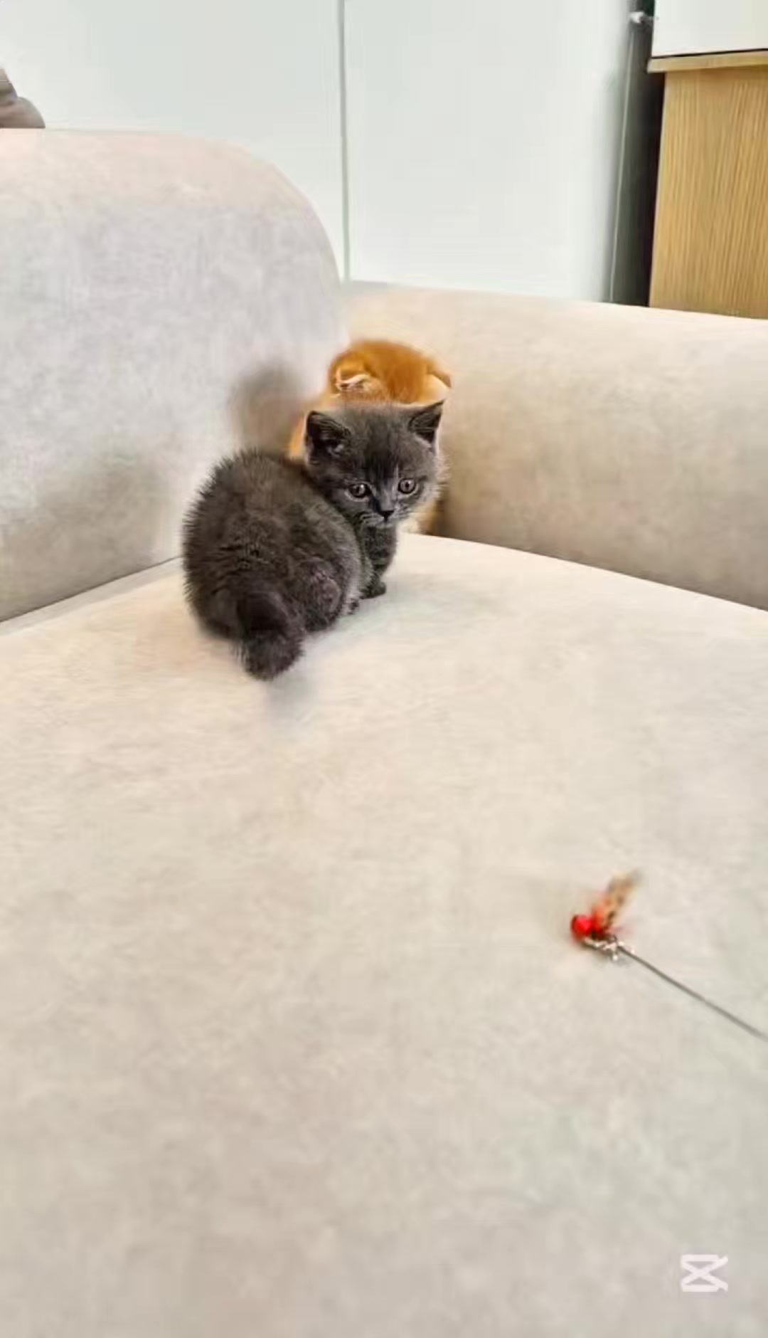 @핑발바닥은 못참는다냥🐱
