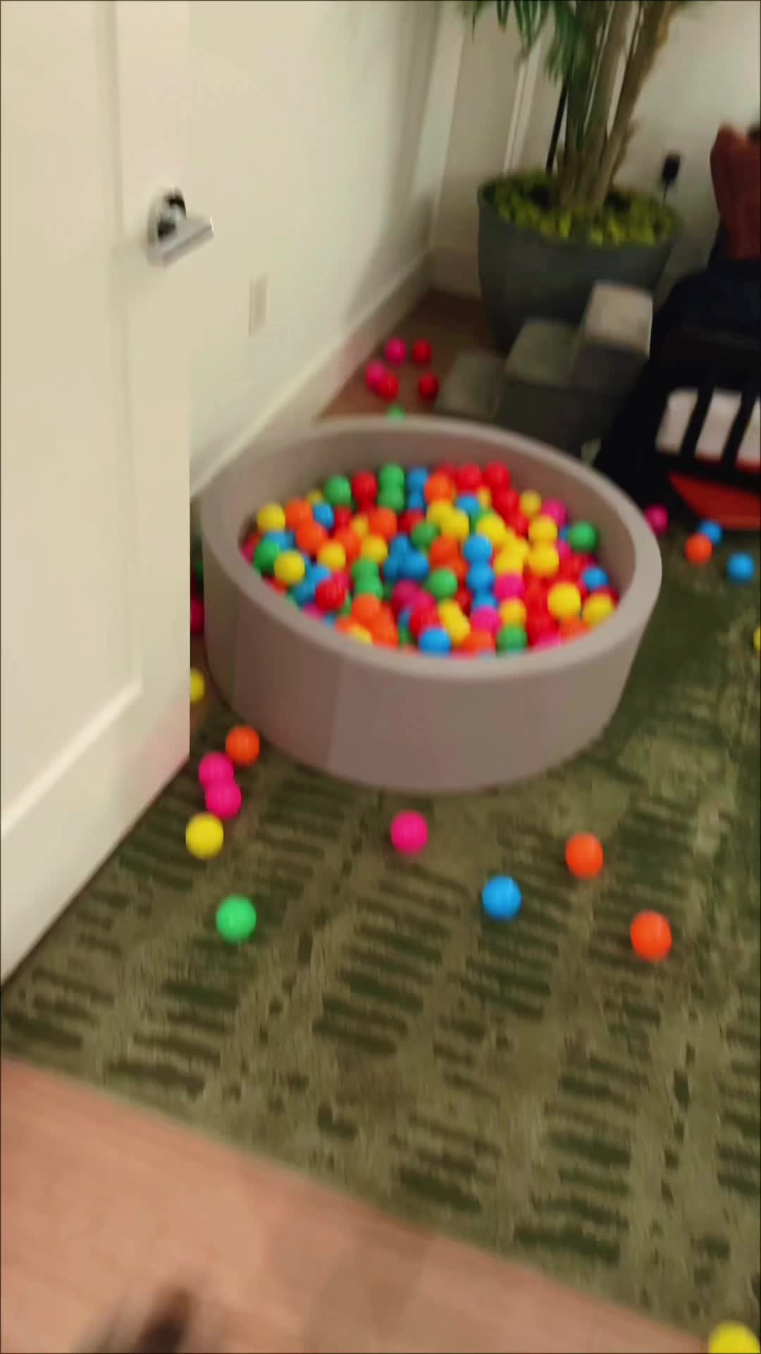 @Kevin&rsquo;s Paw Club