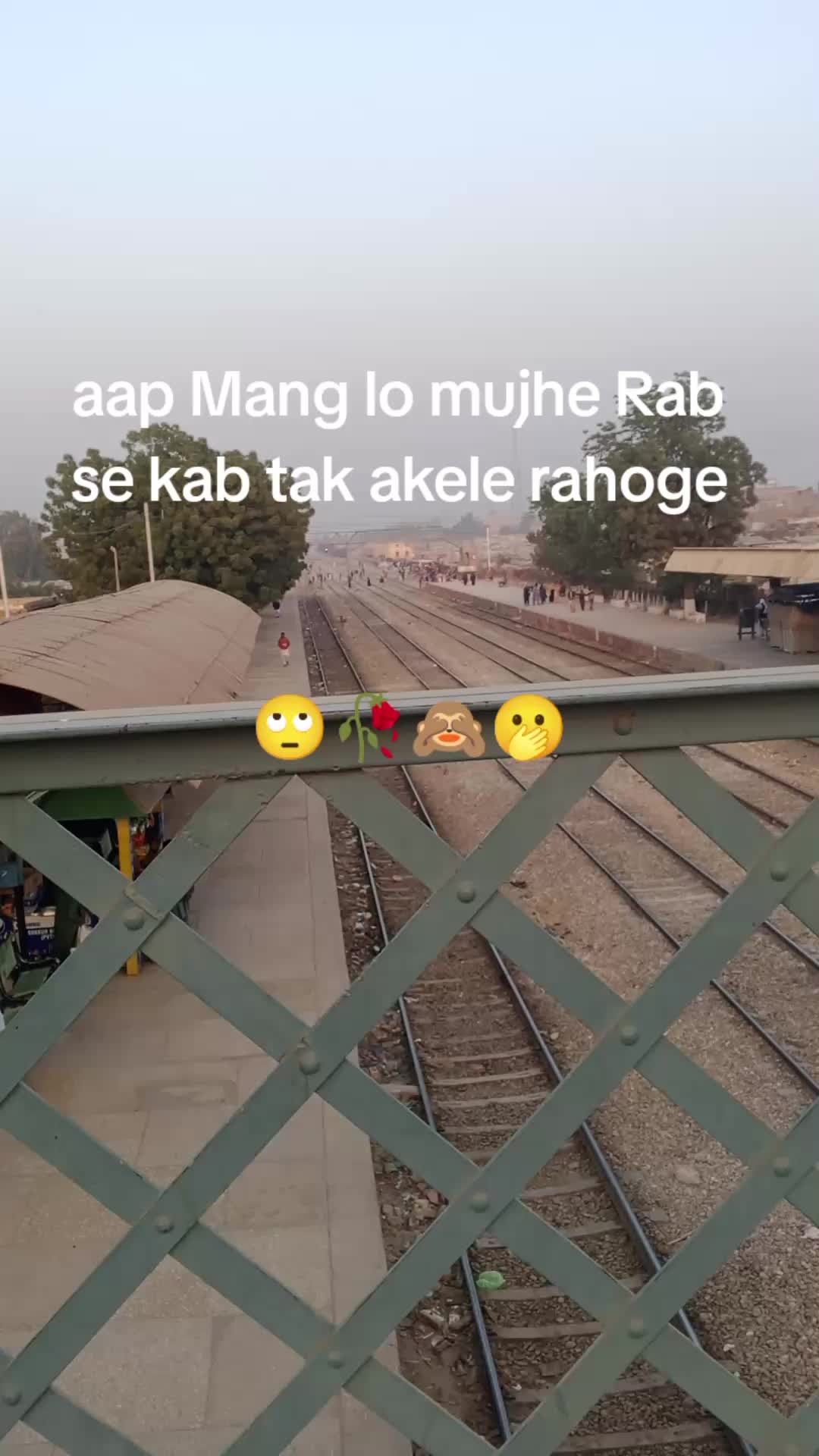 @sara 💯🥰😘