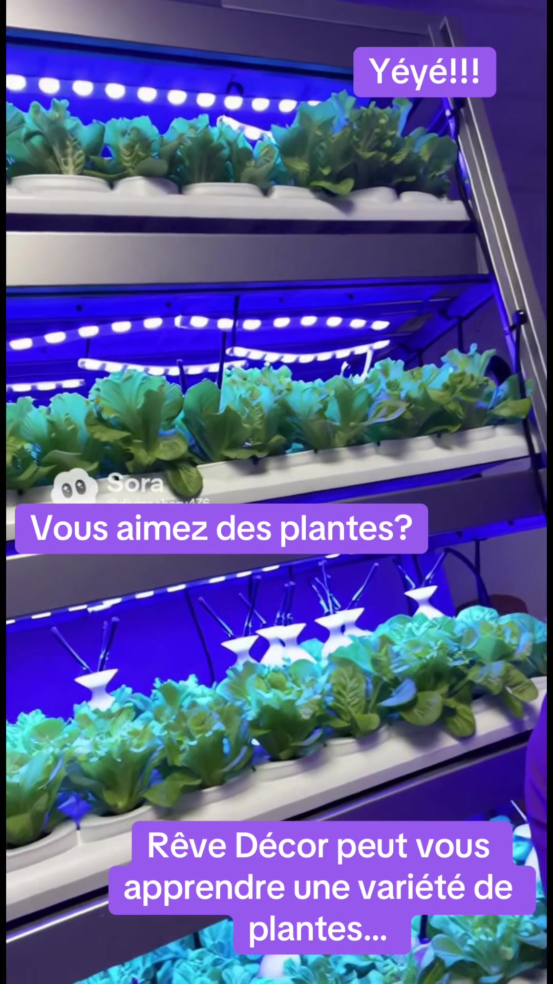 @R&ecirc;ve d&eacute;cor