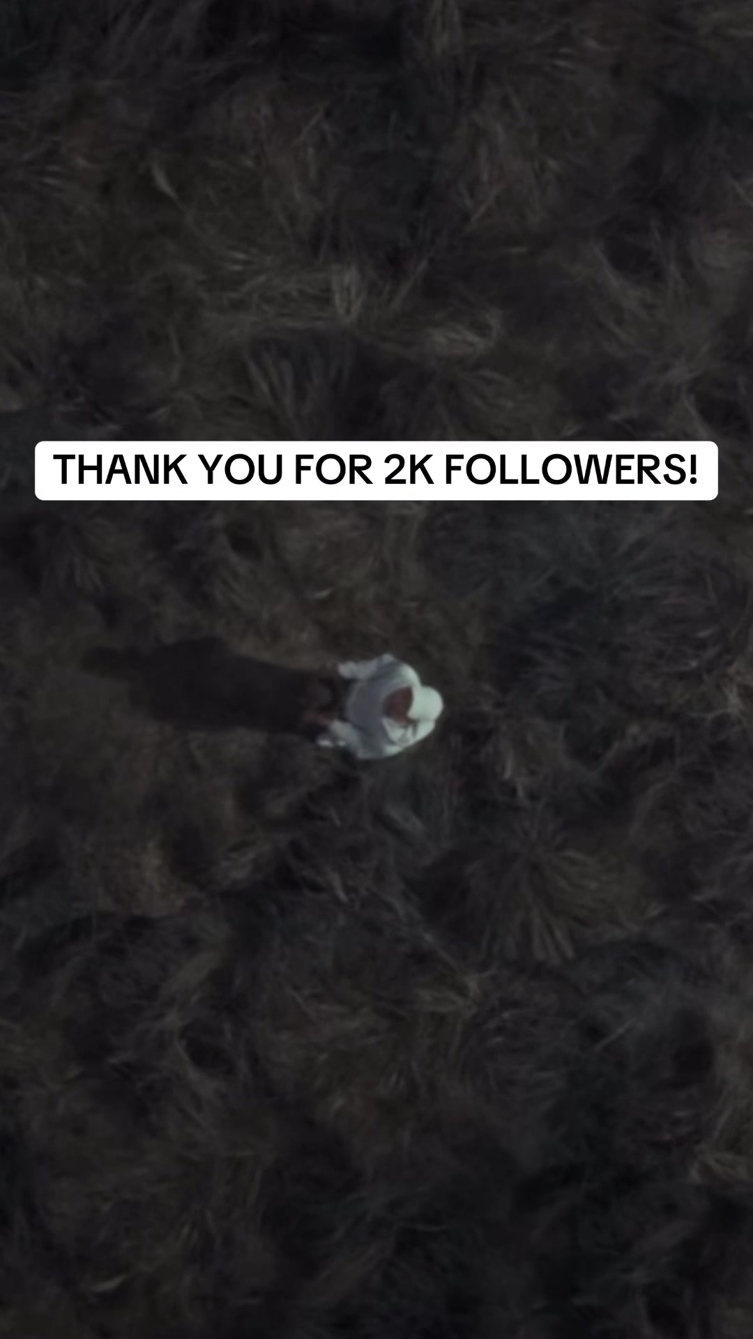 @ChizzleTheRapper