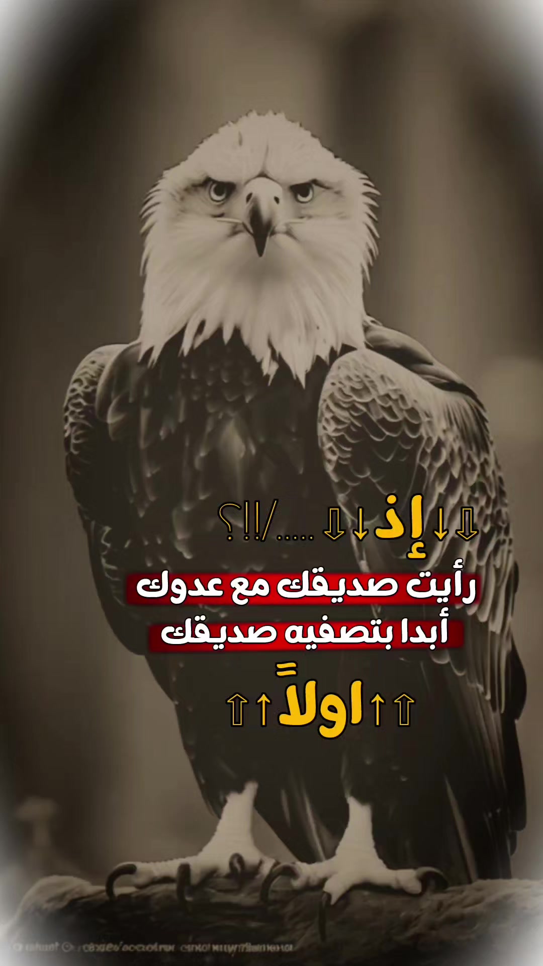 @﮼↵⦅⋮الـ²͢⁰͢³͢⁰͢͢ـملك📮⋮⦆ᯓ